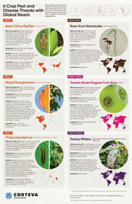Tracking Pest and Disease Threats infographic